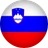 Flag Slovenia